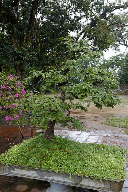 Hué-Pagode de la Dame Céleste-018